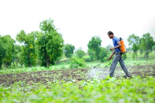 PESTICIDE LABELS TOXICITY