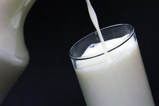 Milk