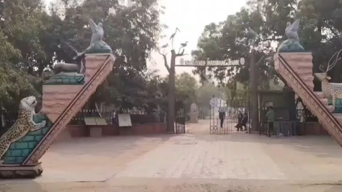 KEOLADEO NATIONAL PARK