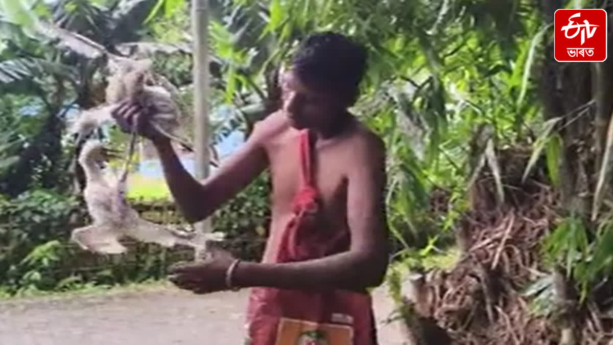Two bird hunters arrested under the Wildlife Protection Act in Dibrugarh