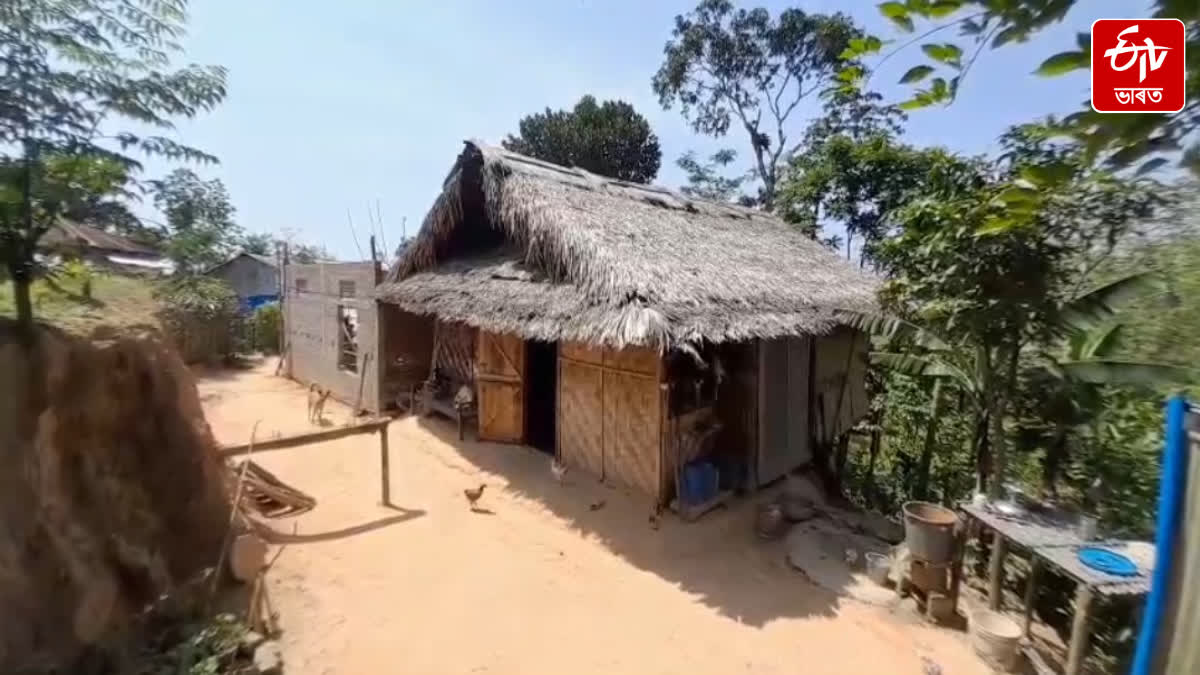 Naga people have established a settlement in Disoivally