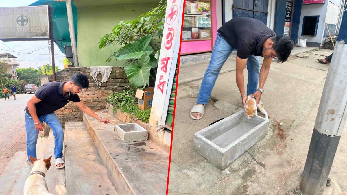 Water for street animals