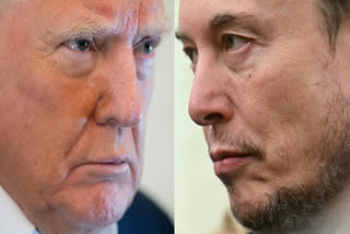 End Of Trump-Musk Bromance! A Timeline Of How The Duo Turned From Friends To 'Foes'