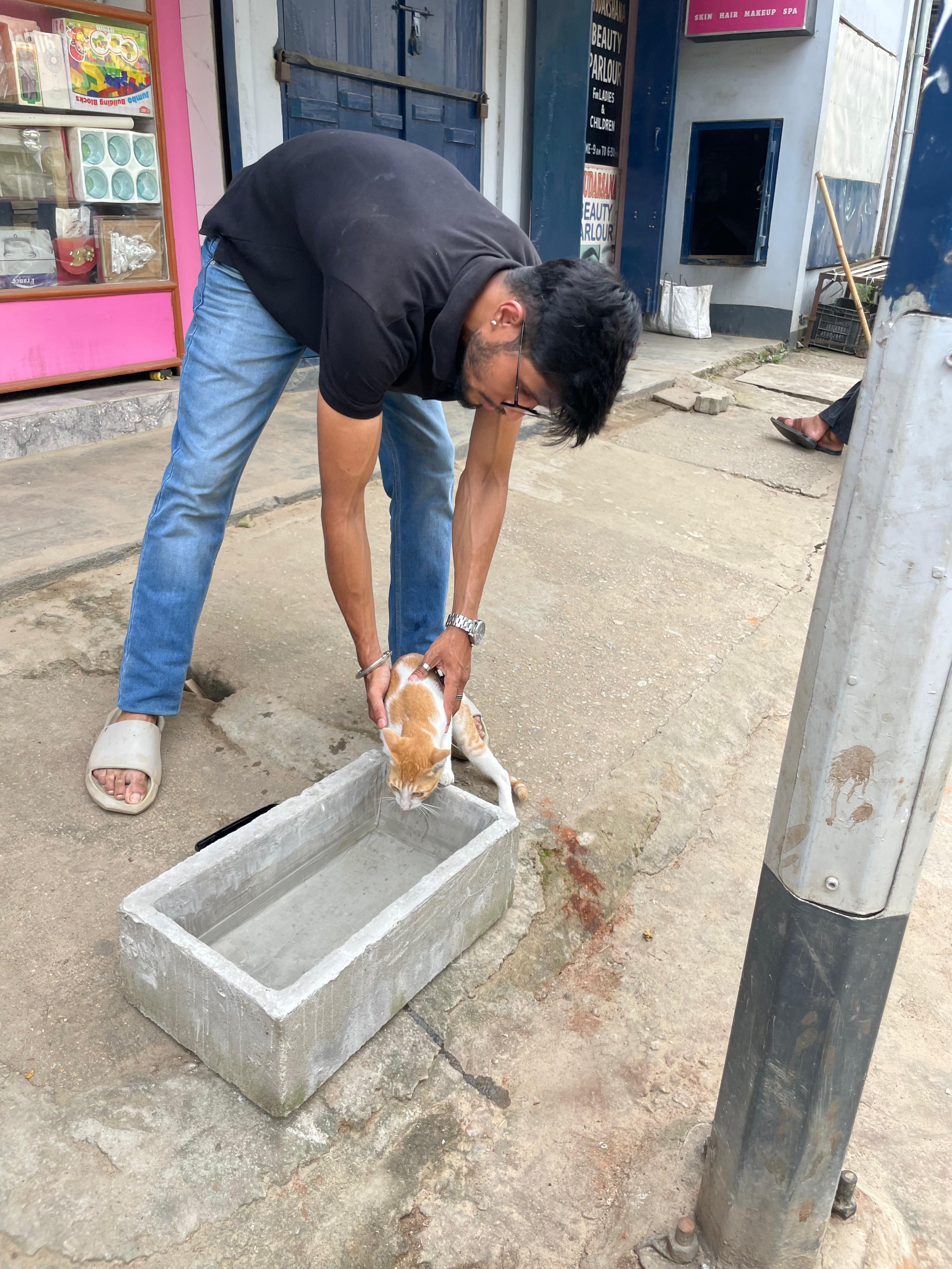 Water for street animals