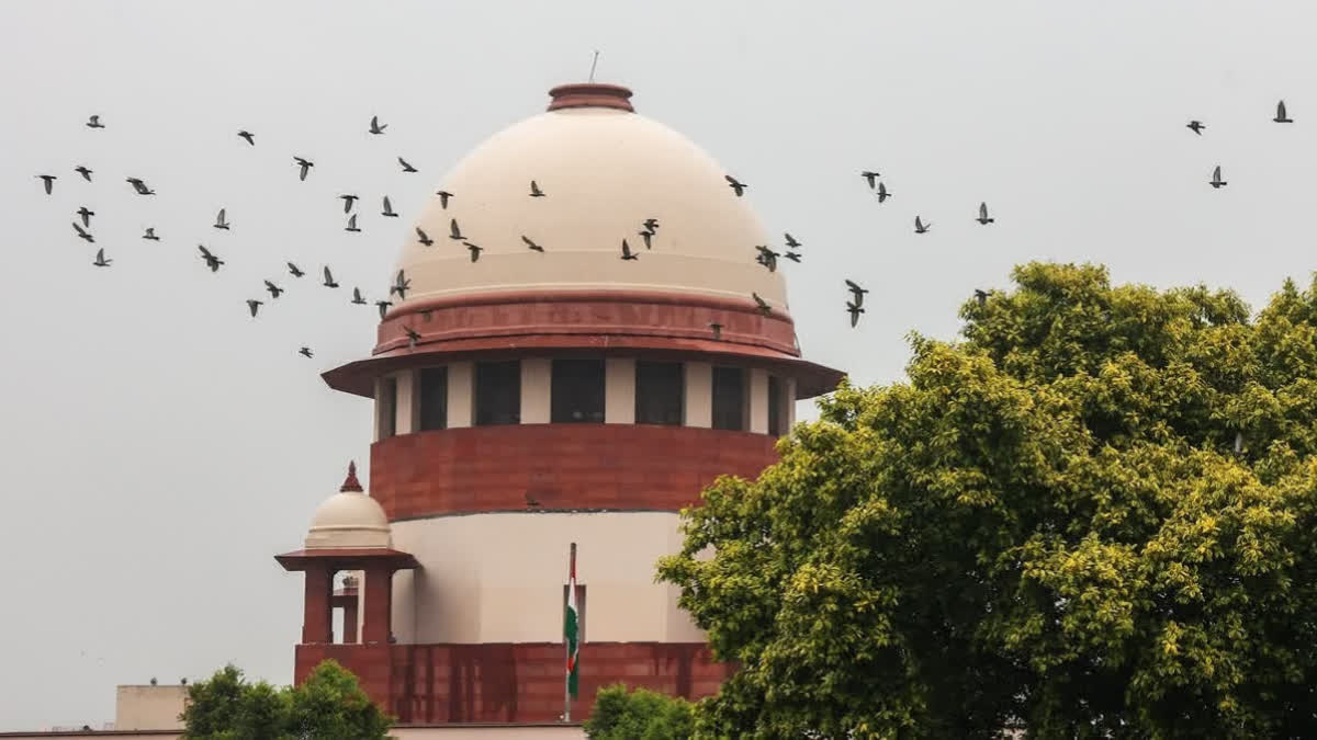 Supreme Court of India