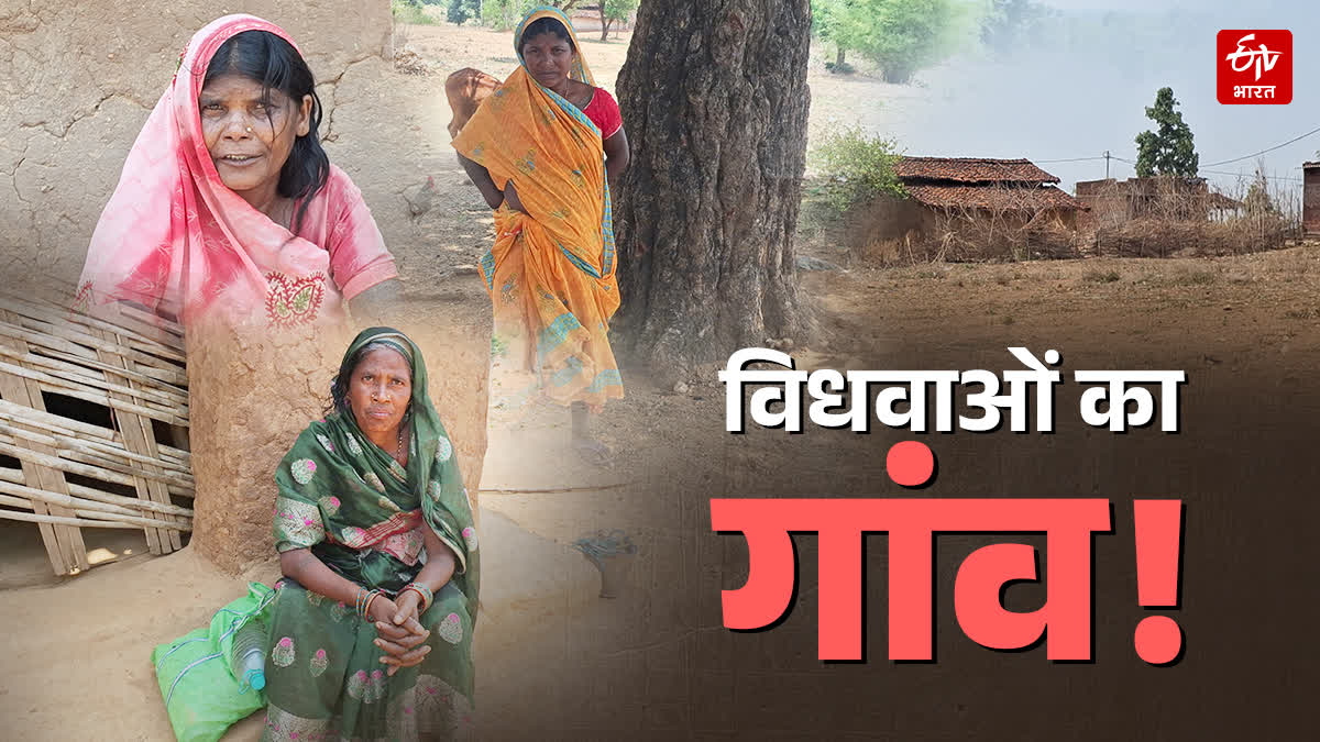 village of widows