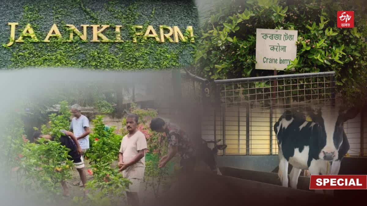 Jaanki Farm in Jorhat
