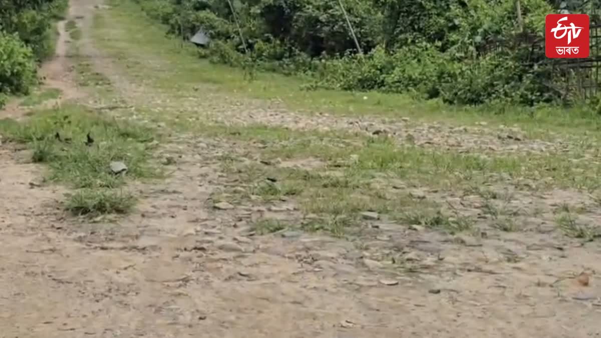 DILAPIDATED ROAD