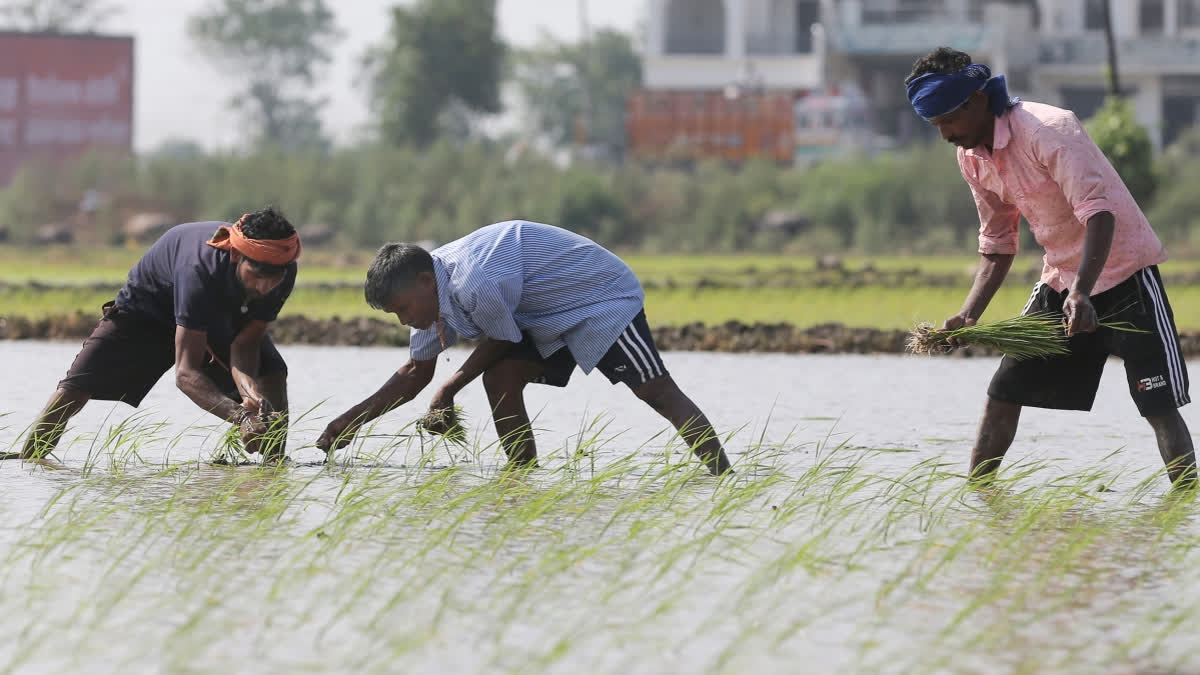 Punjab