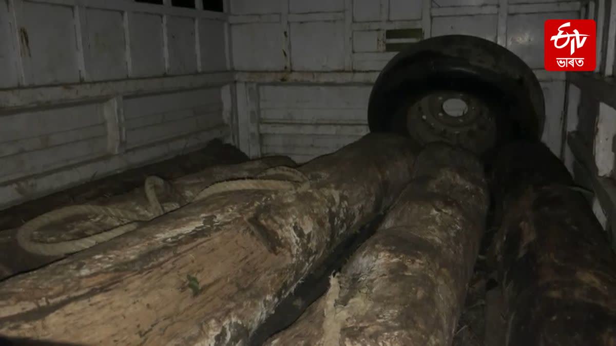 Forest destruction in Bongaigaon
