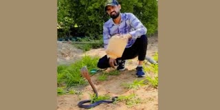 स्नेक कैचर सुरेश