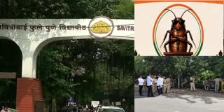 cockroach party protest in Pune