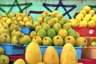 Two Sisters Die After Consuming Mangoes In Hyderabad, Family Members Hospitalised; police probe launched