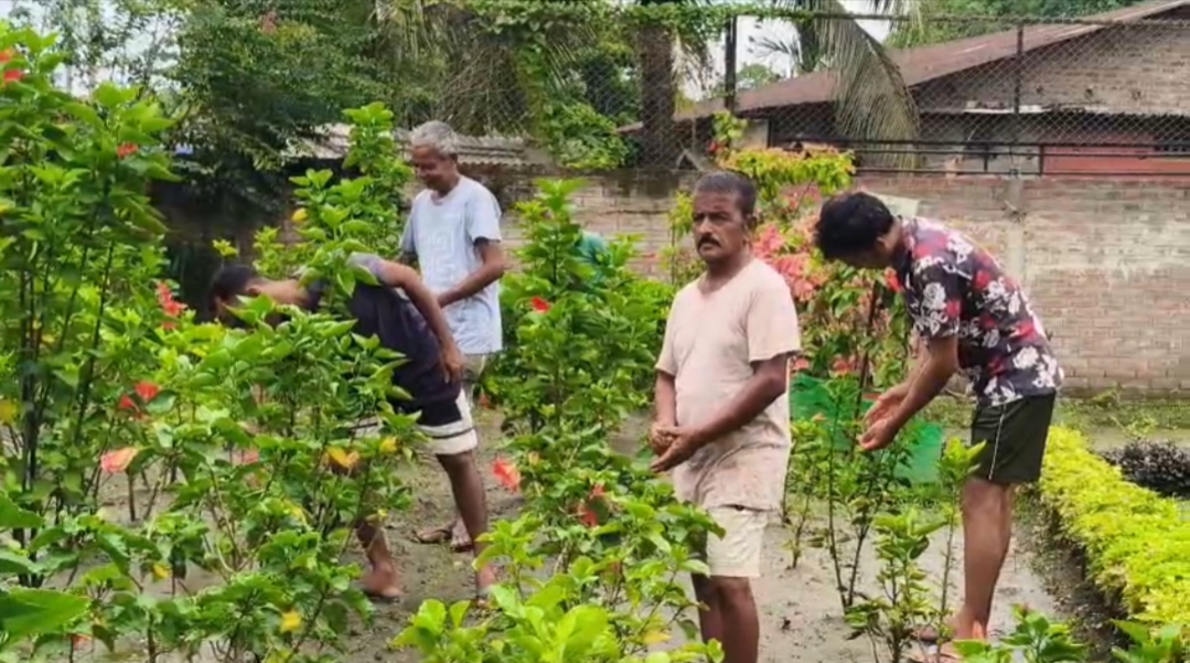 Jaanki Farm in Jorhat
