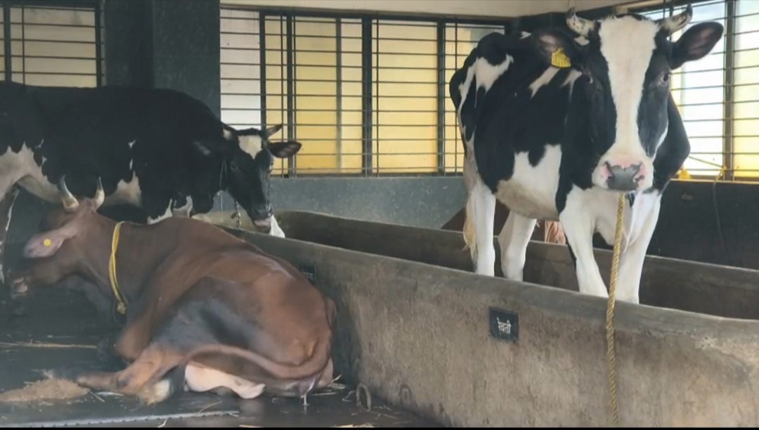 Jaanki Farm in Jorhat