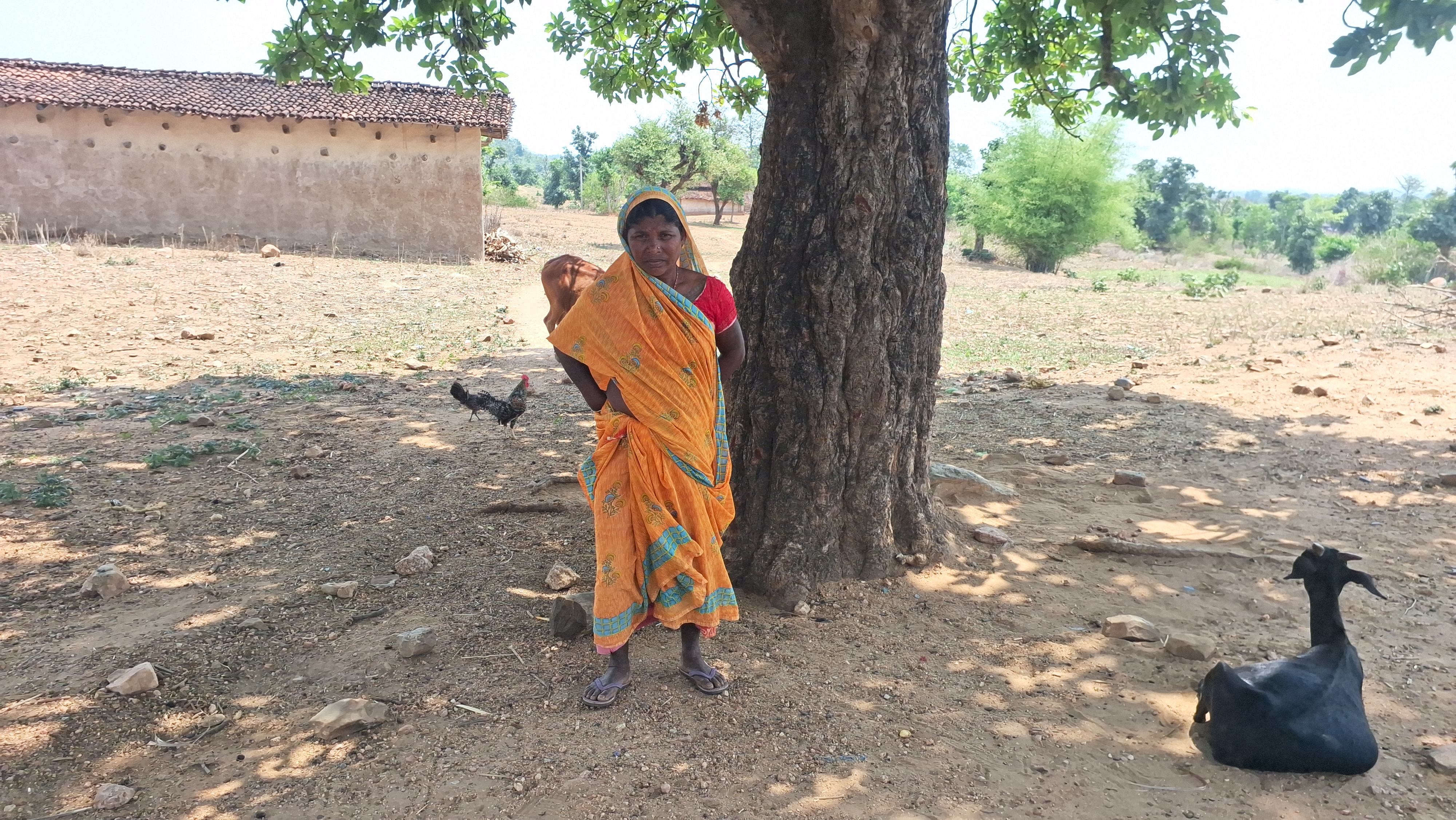village of widows