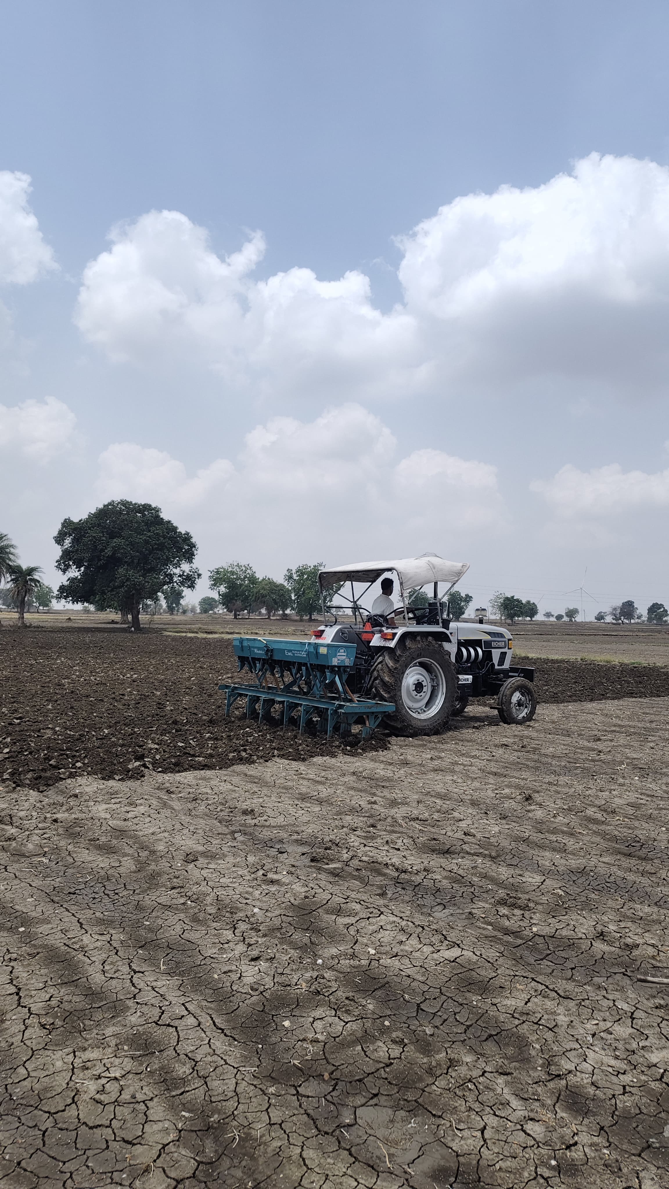 Ratlam Farmers sowed soybean