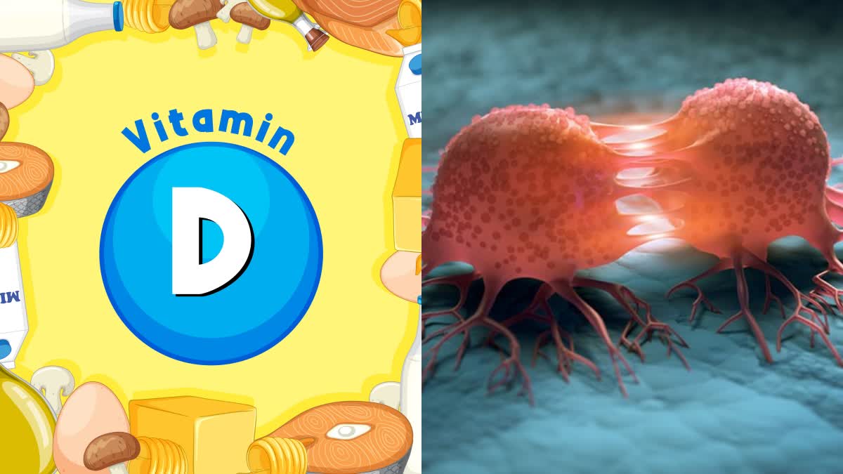 VITAMIN D AND CANCER LINK