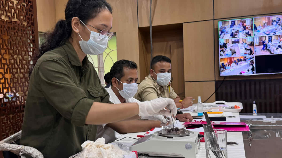 collection of rhino horn DNA samples in Kaziranga