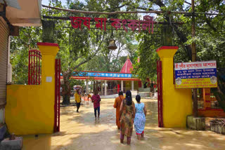 ETV BHARAT