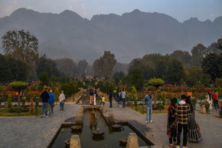 Tourism Renewal Push Picks Up Footfall In Kashmir