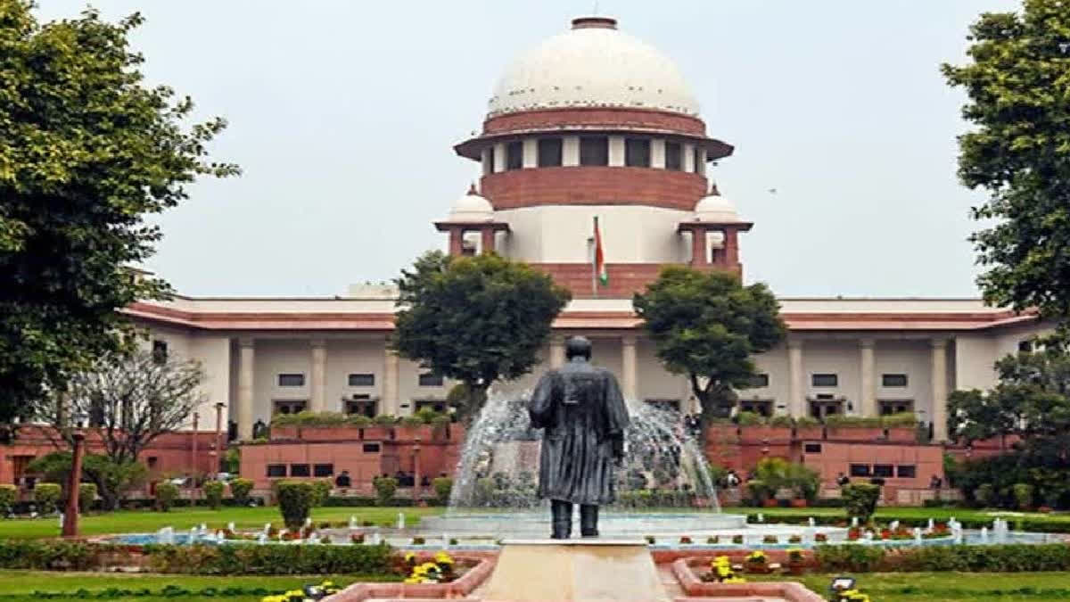 SC Junks Plea Against HC Order Preventing Feeding Of Pigeons, BMC Covers ‘Kabutarkhana’ Again SC Junks Plea Against HC Order Preventing Feeding Of Pigeons, BMC Covers ‘Kabutarkhana’ Again