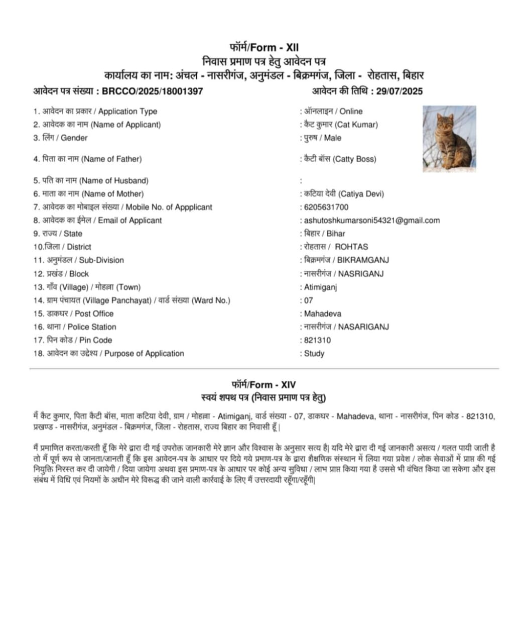 The fake application form carrying the photo of a cat.