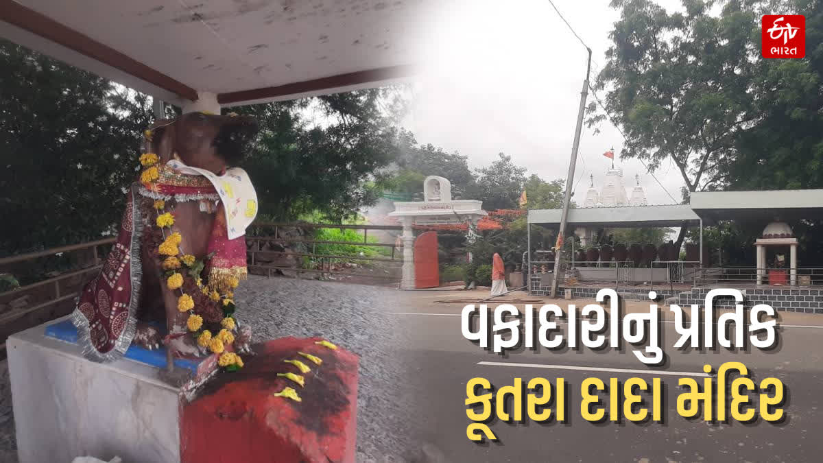 પાલીતાણામાં આવેલું શ્વાનનું અનોખું મંદિર