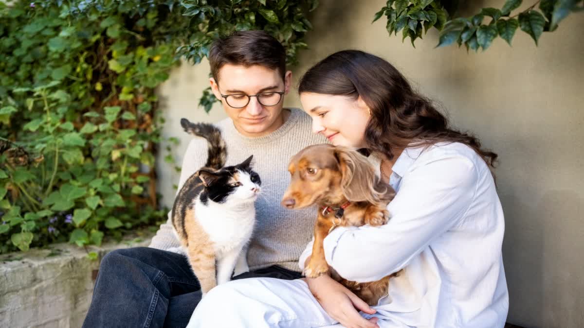 Pets Import and Export Rules