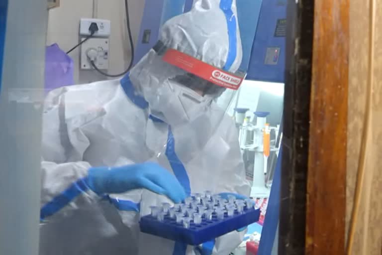 Swine flu cases in Delhi have risen sixfold; find out why doctors advise against dismissing it as ordinary flu.