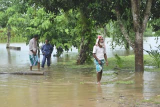 ASSAM FLOOD 2026