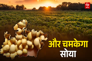 SAGAR UNIVERSITY RESEARCH ON SOYA