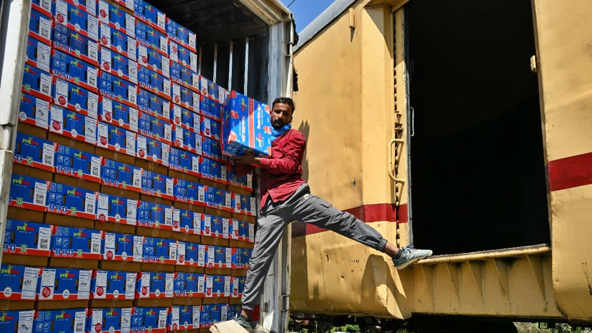 A worker loading apples in the first parcel train from Kashmir to Delhi at Budgam station in J&K on Thursday, Sept 11 2025.