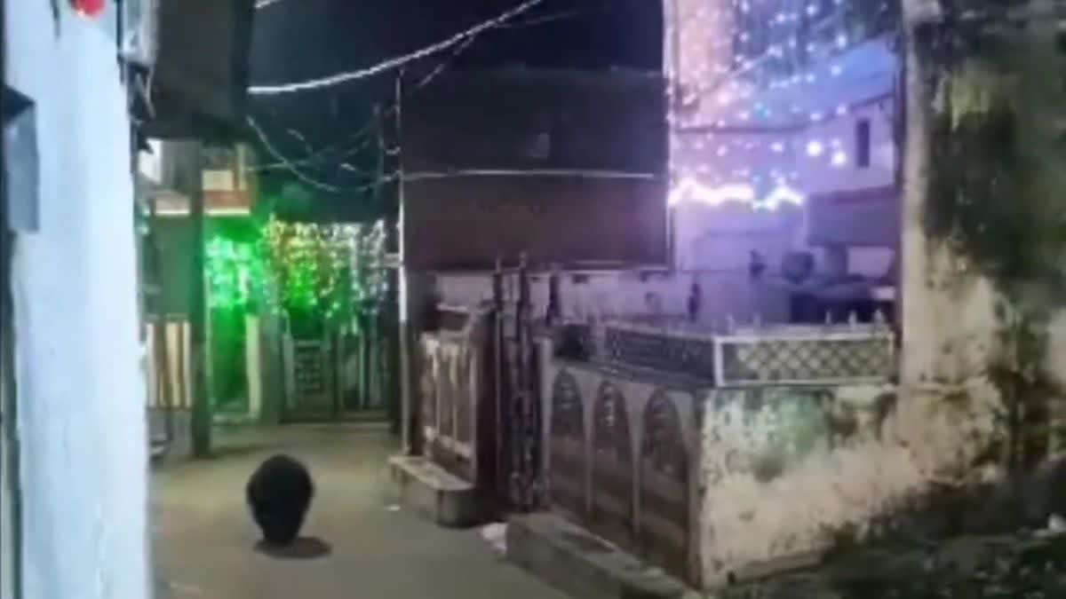 BEAR ATTACK MANENDRAGARH