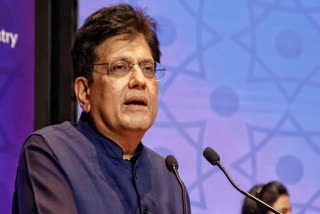 Union Commerce Minister Piyush Goyal Says Trade Deal With US By November