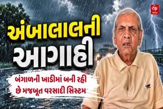 અંબાલાલ પટેલ