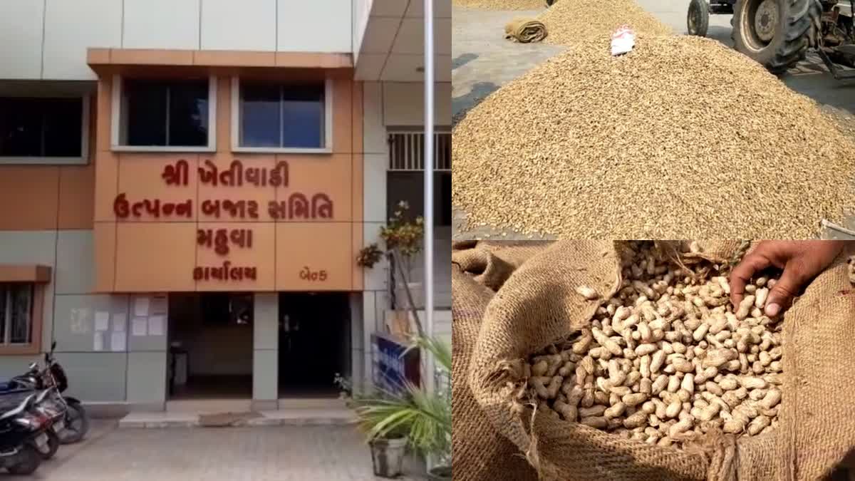 Bhavnagar News ભાવેણુ - ShareChat