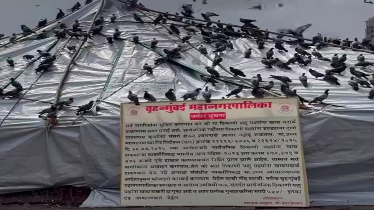 Prayer Meeting for Peace of Souls Pigeons