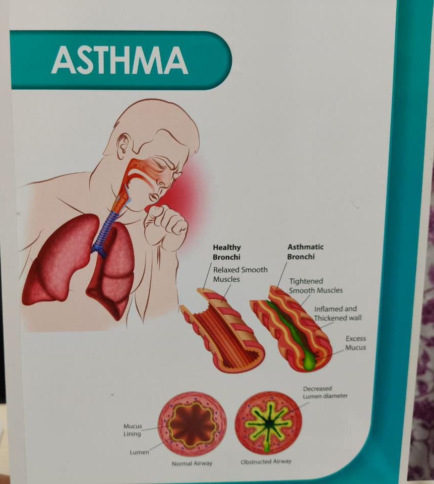 દિવાળી અને શિયાળામાં અસ્થમાનો વધતો પ્રકોપ: કારણો, લક્ષણો અને બચાવના ઉપાયો