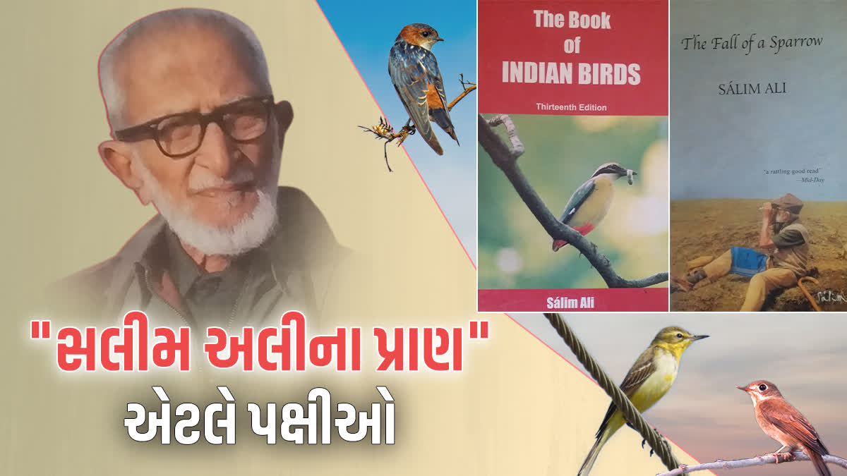 વિશ્વના શ્રેષ્ઠ પક્ષીવિદ