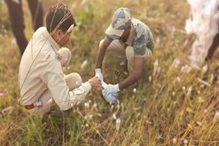 SIDHI TIGER REMAINS FOUND