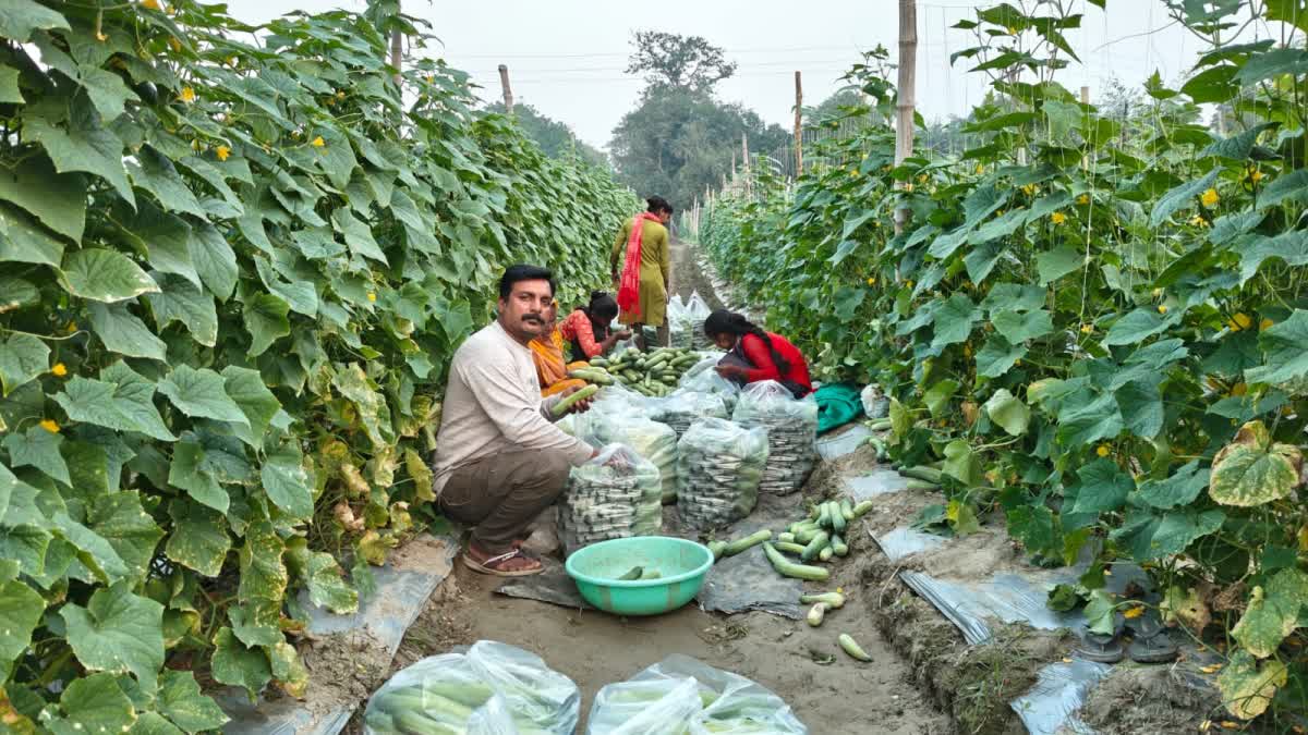 Gorakhpur Farmer Success Story