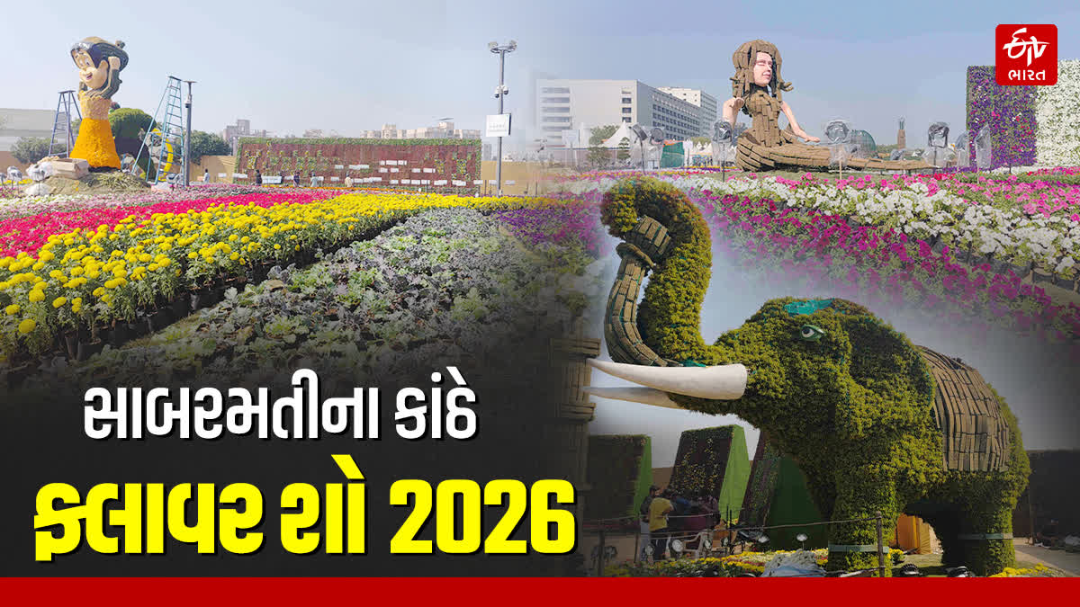 જાણો આ વર્ષ કંઈ થીમો જોવા મળશે