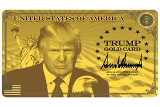 Trump Gold Card