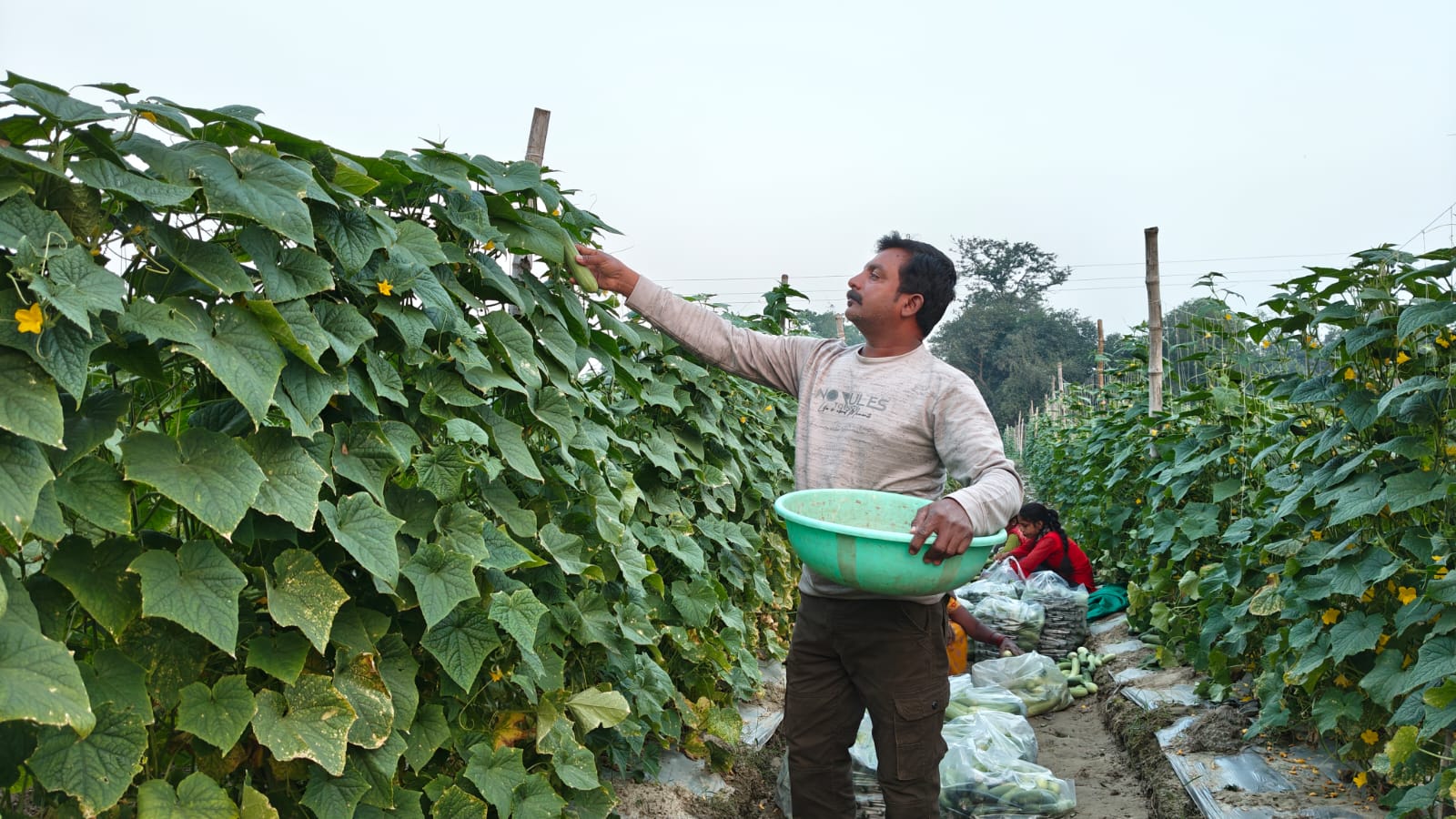 Gorakhpur Farmer Success Story