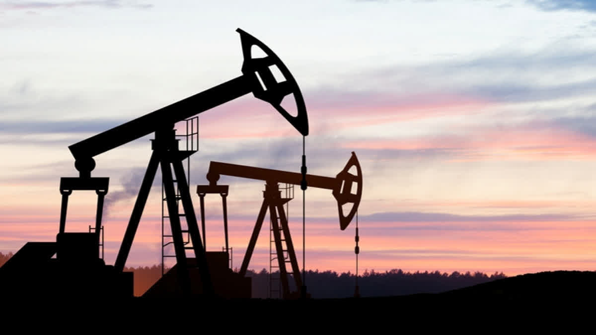 Centre Approves Oil And Gas Exploratory Drilling In Assam Sanctuary Centre Approves Oil And Gas Exploratory Drilling In Assam Sanctuary