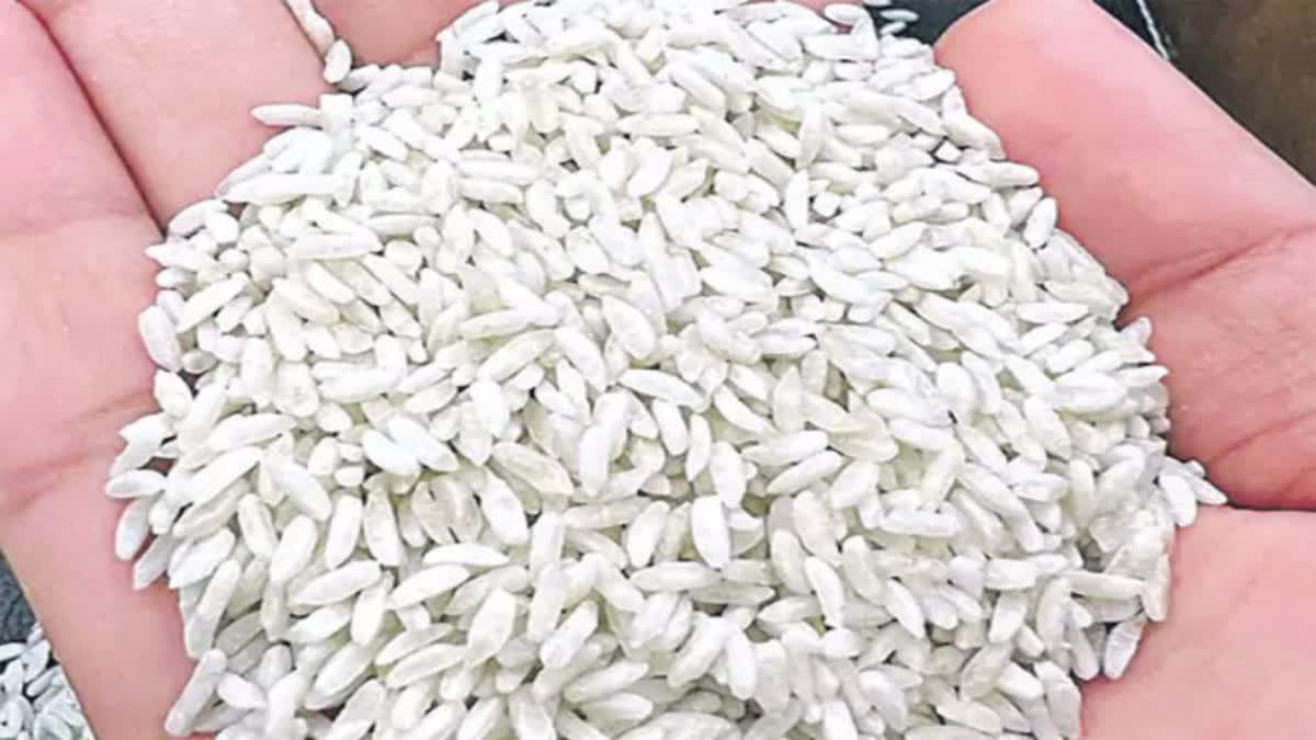 https://imgs.etvbharat.com/etvbharat/prod-images/12-01-2026/1200-675-25794177-thumbnail-16x9-rice.jpg