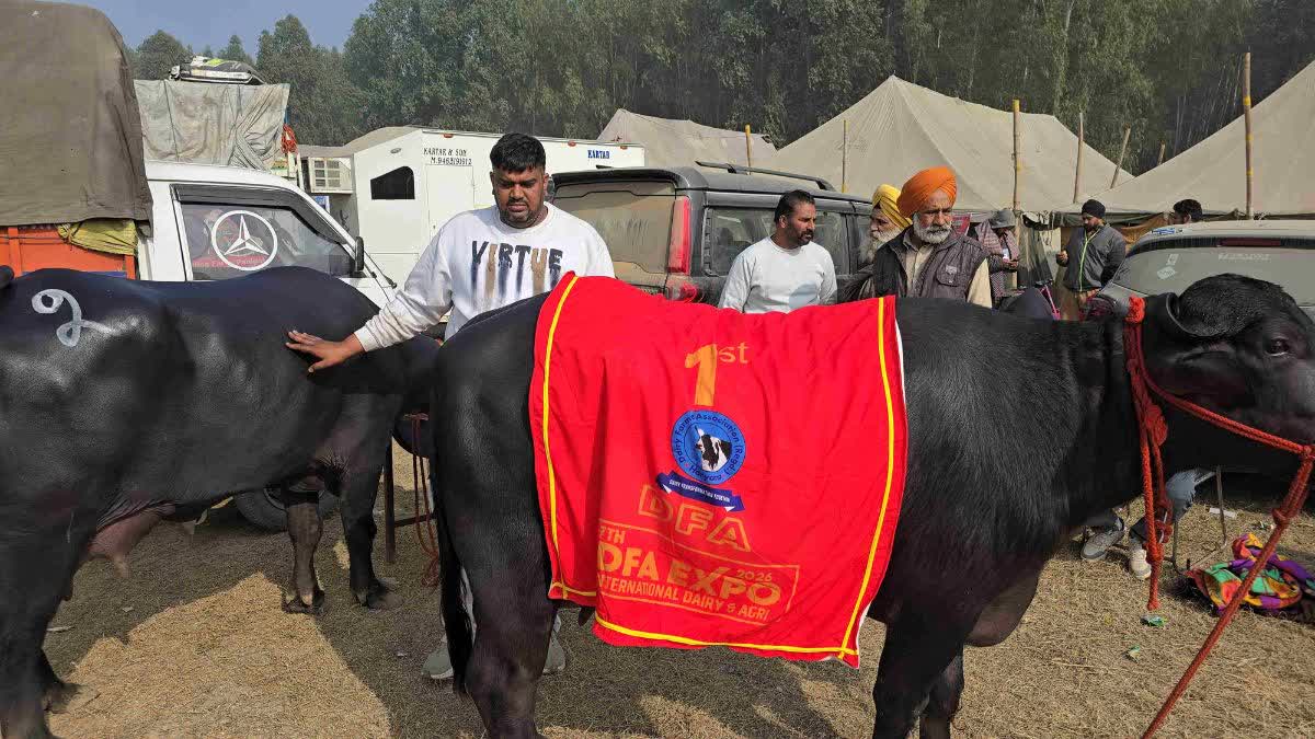 Kurukshetra dairy fair 2026