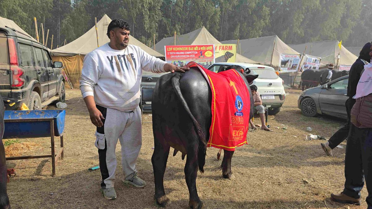 Kurukshetra dairy fair 2026