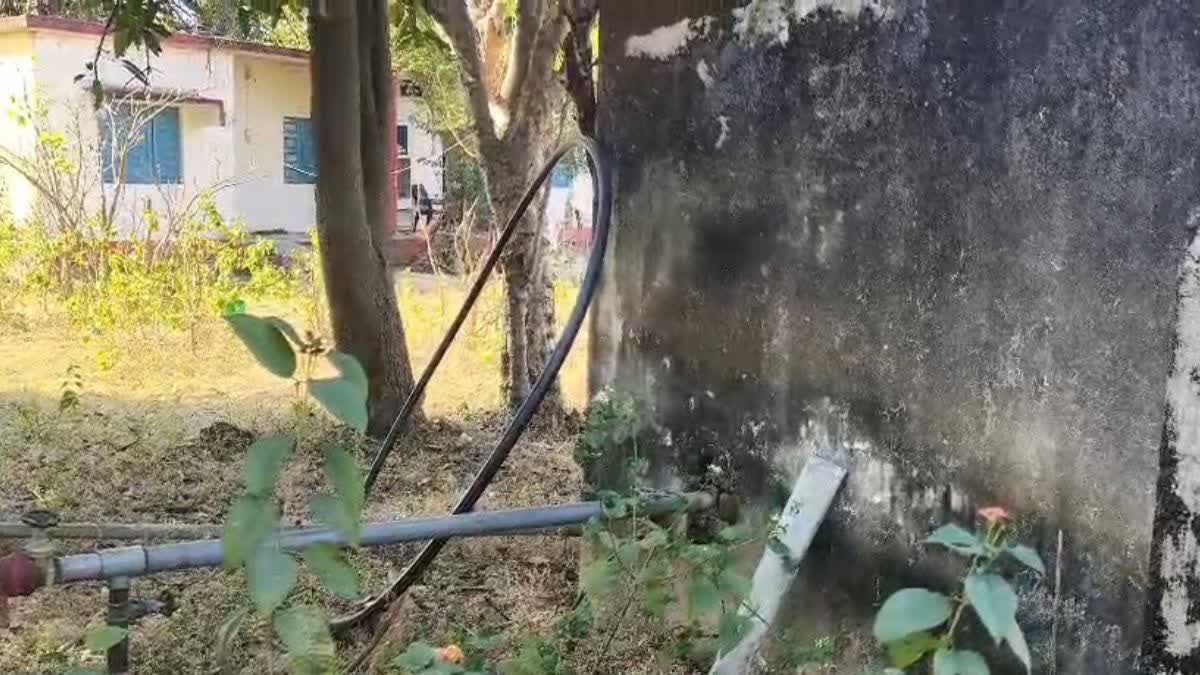 https://imgs.etvbharat.com/etvbharat/prod-images/12-02-2026/1200-675-26023734-thumbnail-16x9-image-aspera.jpg